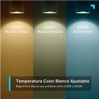 TP-Link Tapo L630 GU10 Wi‑Fi multicolor regulable | Informatica Canarias