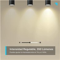 Bombilla Inteligente Gu10 Tp-link Led Multicolor 6500k Blanco Ajusta Wifi