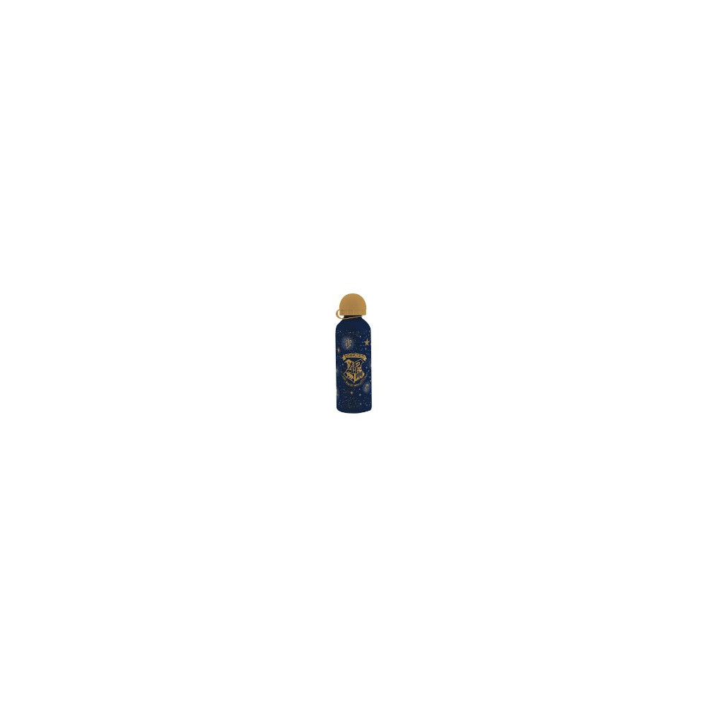 Botella Kids Licensing Harry Potter (hp0001)