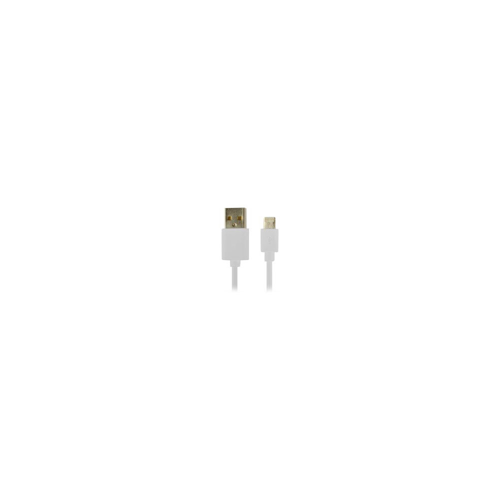 Cable Conceptronic Lightning 1m Blanco (ctusblightw)