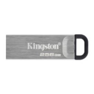Pendrive Kingston 256gb Usb-a 3.0 Plata (dtkn/256gb)