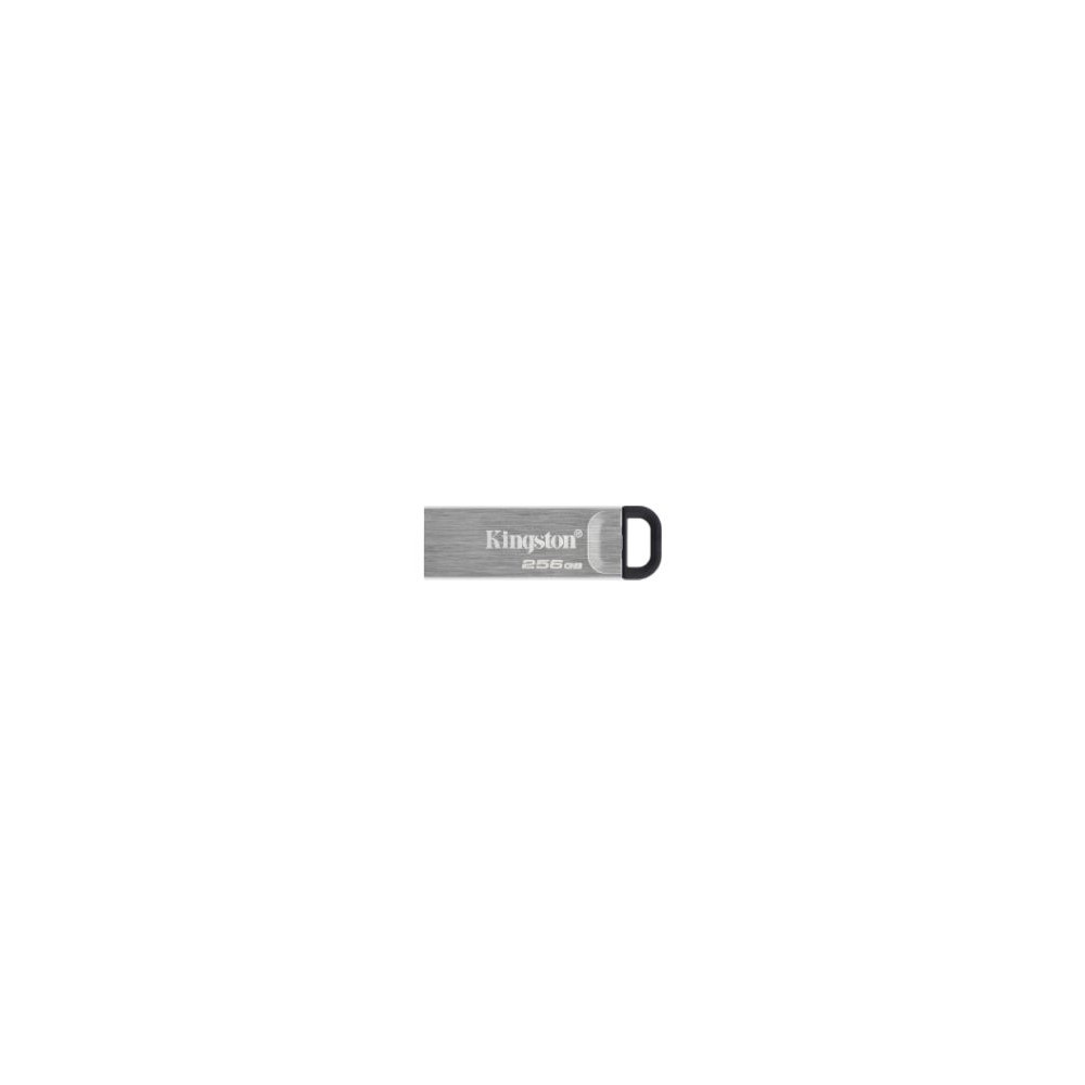 Pendrive Kingston 256gb Usb-a 3.0 Plata (dtkn/256gb)
