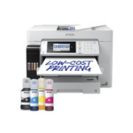 Multif Epson Ecotank Pro Et-16685 A3 Color (c11ch71412)