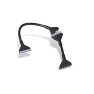 Cable Belkin Ultra Ata 133 Redondo Negro (cc2003kame02)