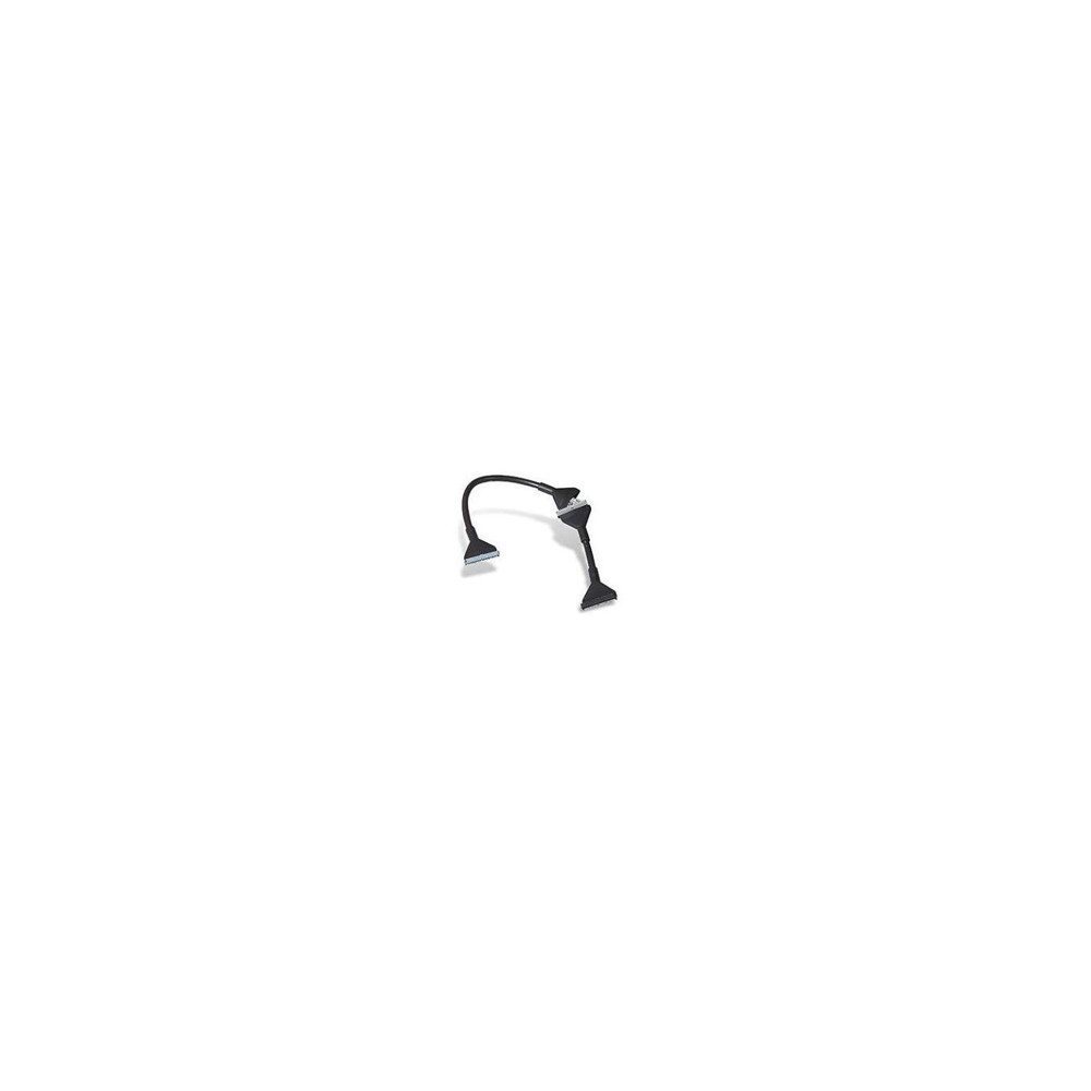 Cable Belkin Ultra Ata 133 Redondo Negro (cc2003kame02)