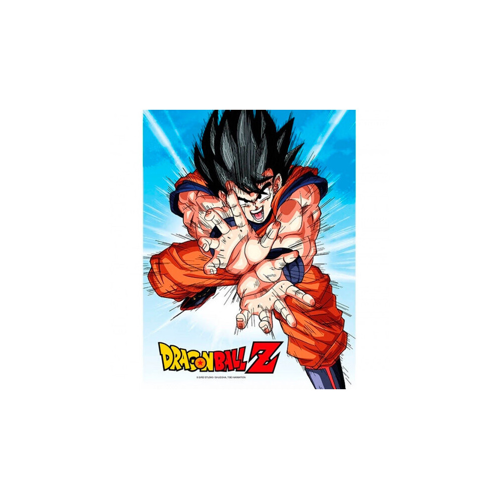 Poster cristal Goku Kame Dragon Ball Z