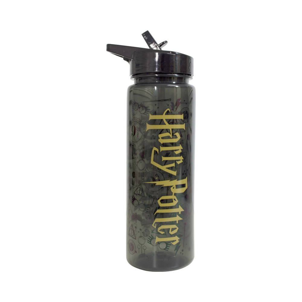 Botella Logo Harry Potter 750ml