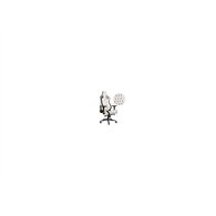 silla gaming noblechairs epic blanco