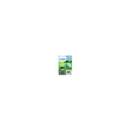Cartucho epson 34xl amarillo c13t34744010