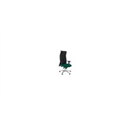 Sillon sahuco xl bali verde hasta 160kg 13sxlbali456