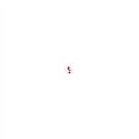 Silla ayna bali rojo 04cpbali350