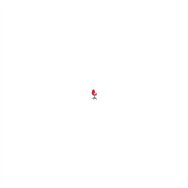 silla ayna bali brazos fijos ruedas de parque rojo 04cpbali350bgolfrp