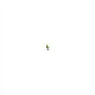Silla elche s bali brazos fijos verde 14sbali22bgolf