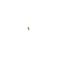 Silla elche s bali brazos fijos verde 14sbali22bgolf