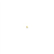 Silla fija villalgordo chasis negro bali amarillo 27nbali100