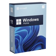 Microsoft windows 11 home 64bit dsp dvd