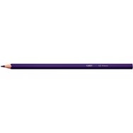 Bic 9641481 lápiz de color 24 pieza(s)