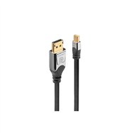 Lindy 36311 cable displayport 1 m mini displayport gris
