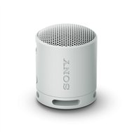 Sony srs-xb100 altavoz monofónico portátil gris