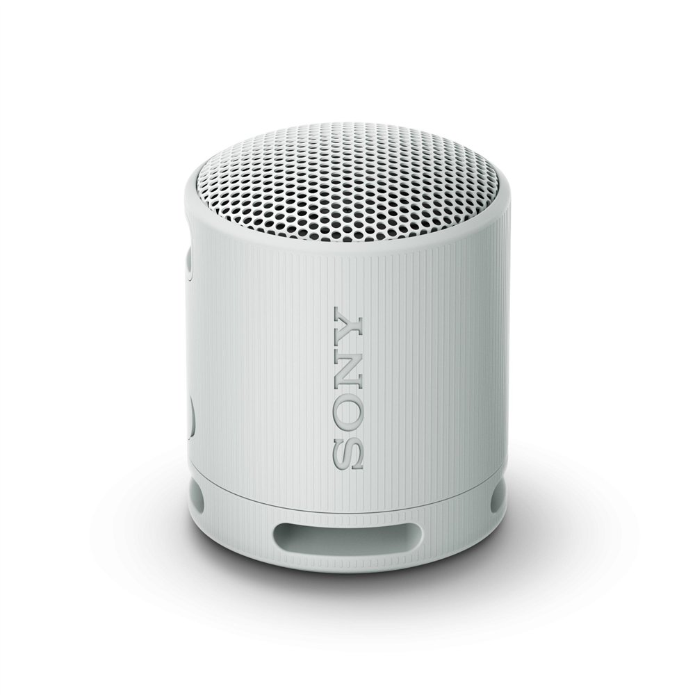Sony srs-xb100 altavoz monofónico portátil gris