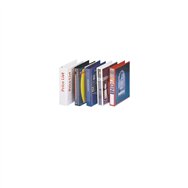 Esselte Panorama Ring Binders 4 x 16 mm White carpeta de cartón A4 Blanco