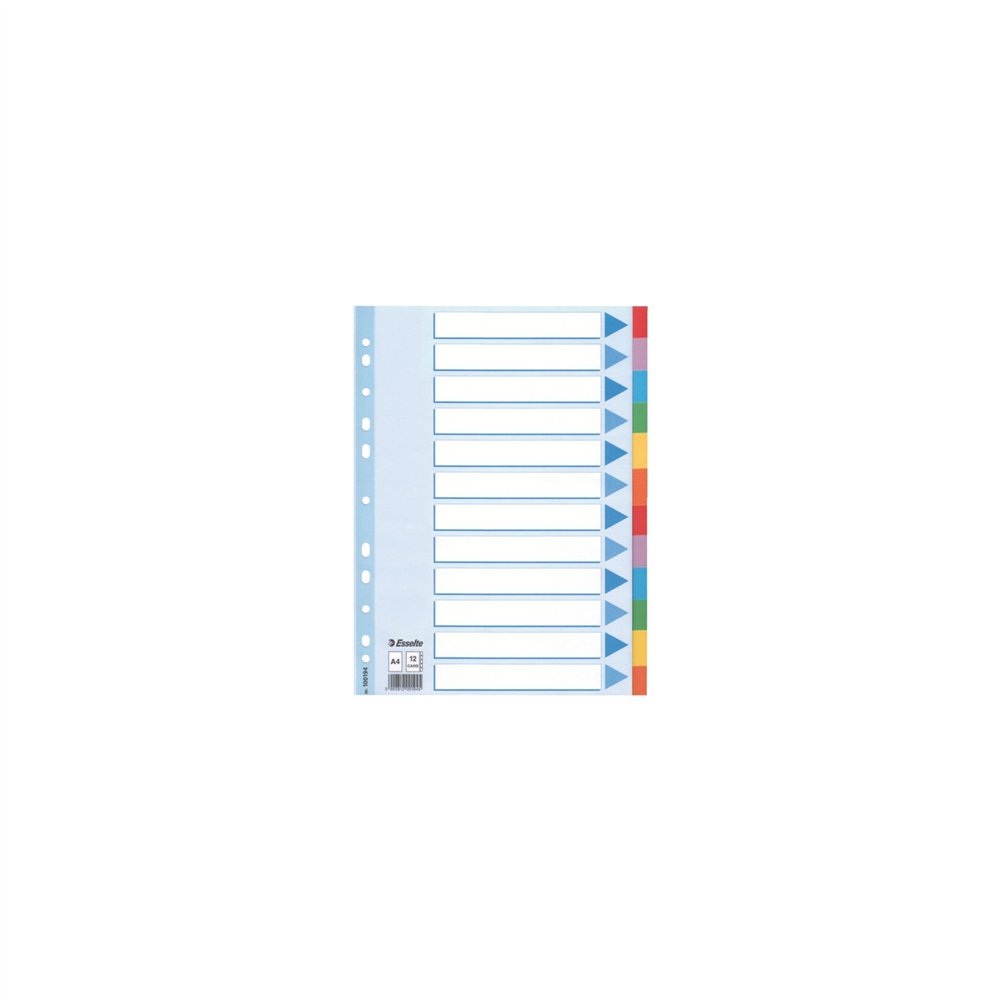 Esselte multi-coloured cardboard dividers divisor 10 pieza(s)