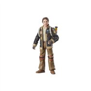 Star wars the black series fern