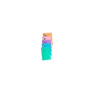 Oxford pack 41 cuadernos classic writeerase fº textradura 80h 4x4 colores pastel 400159802