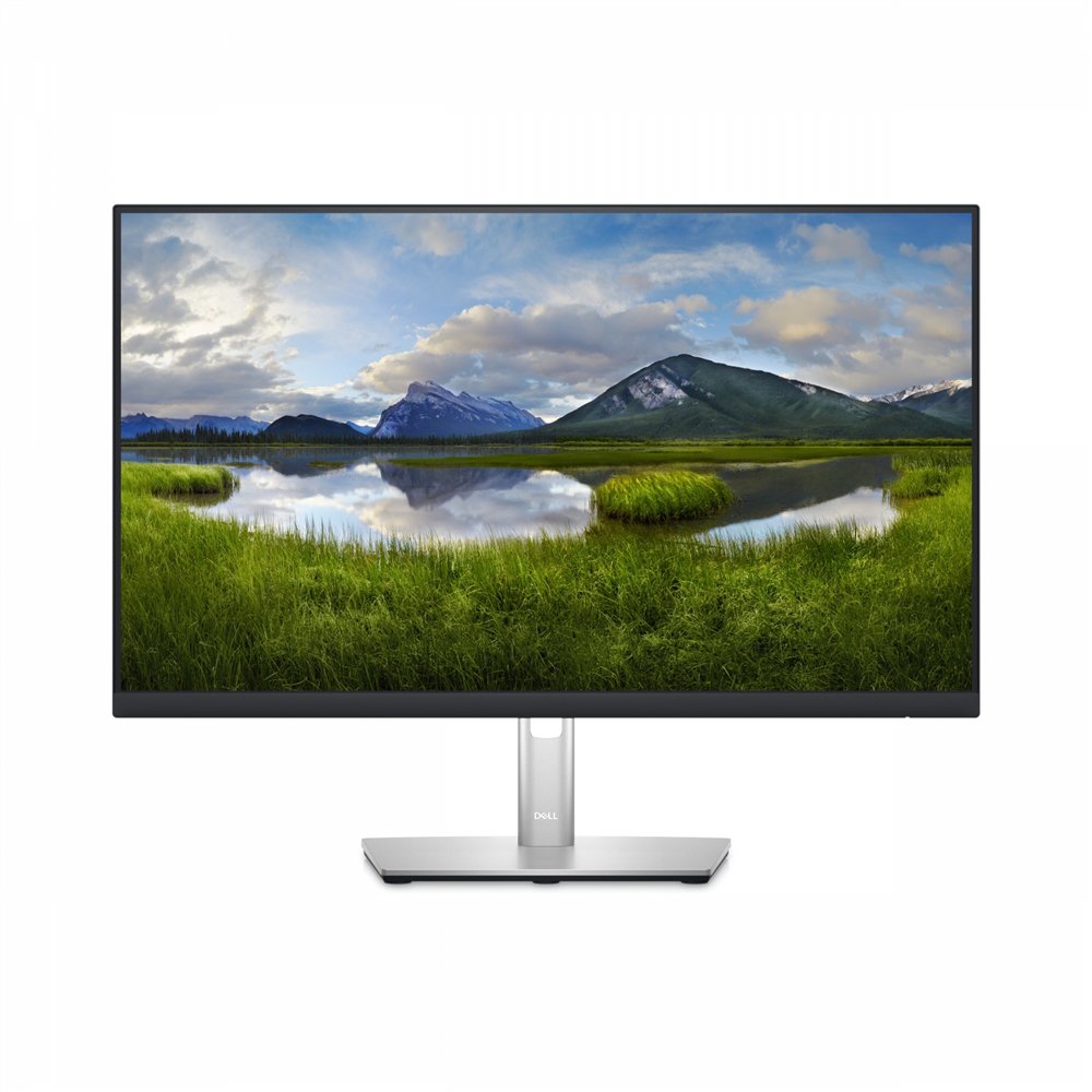 dell p series monitor 24 con concentrador usb-c: p2423de