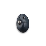 kensington pro fit ergo tb550 ratón oficina mano derecha rf wireless + bluetooth trackball 1600 dpi