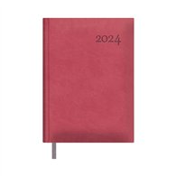 dohe 12736-24 agenda diaria 336 páginas fucsia