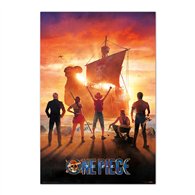 poster one piece
