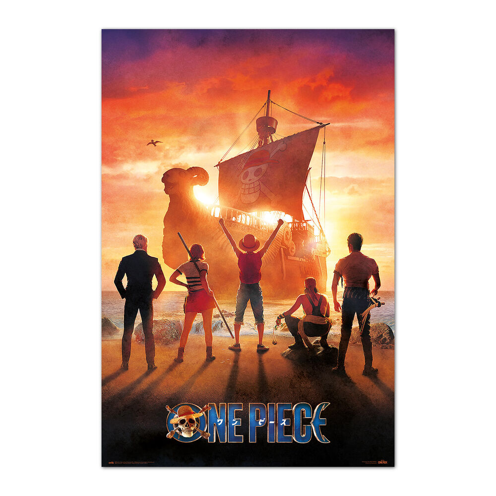 poster one piece