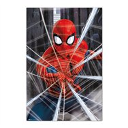 poster telaraña spiderman marvel