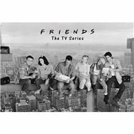 poster friends