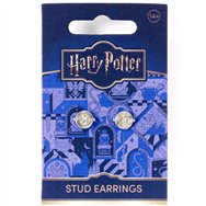 pendientes giratiempos harry potter