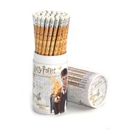 lapiz mapa de los merodeadores harry potter