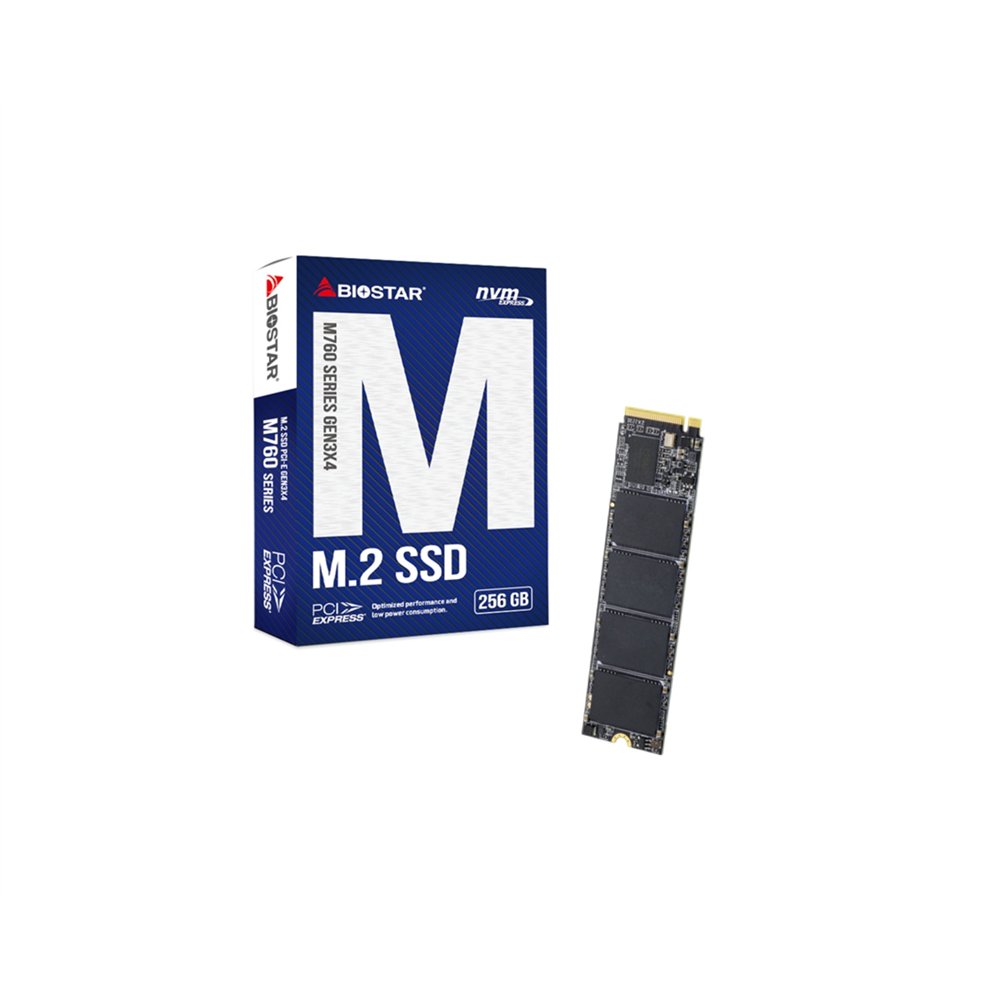biostar m760 256 gb m.2 pci express 4.0 nvme