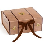 caja regalo maleta harry potter m