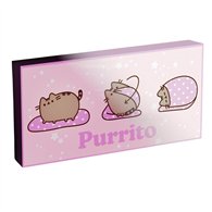 lienzo con luz pusheen