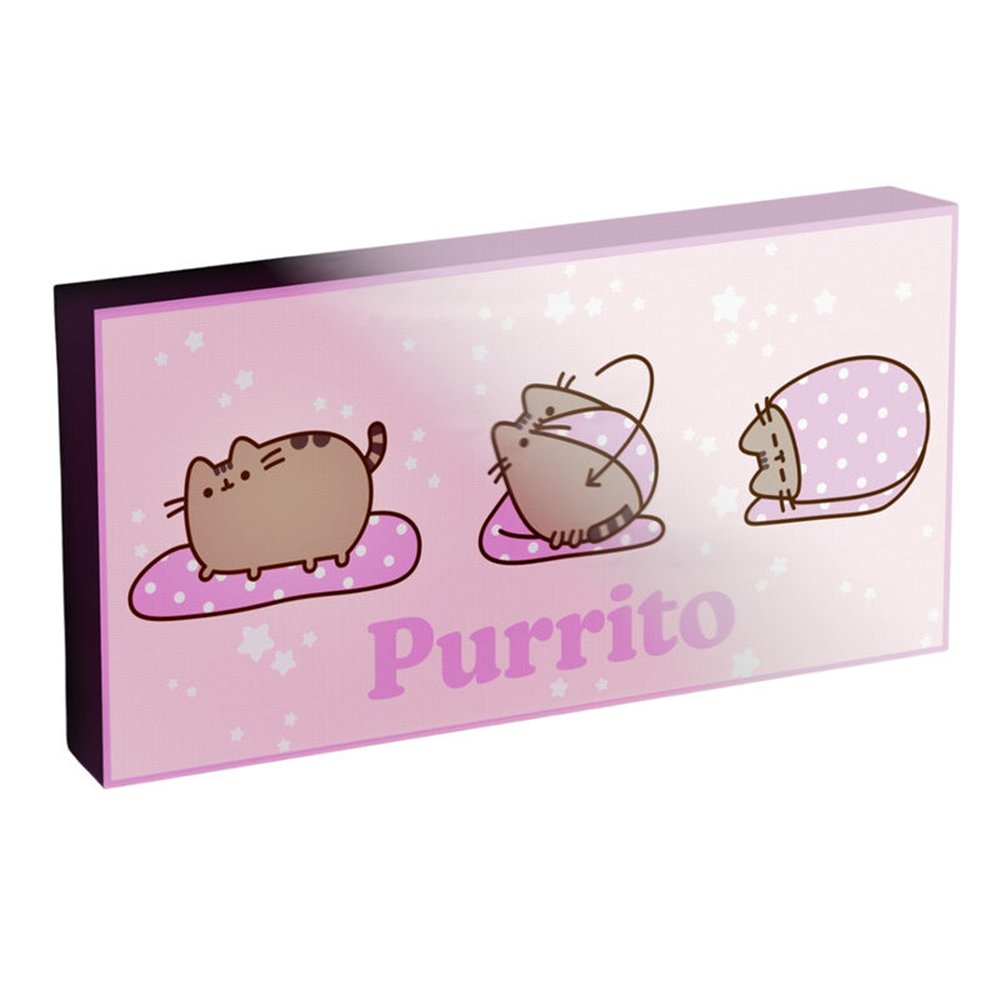 lienzo con luz pusheen