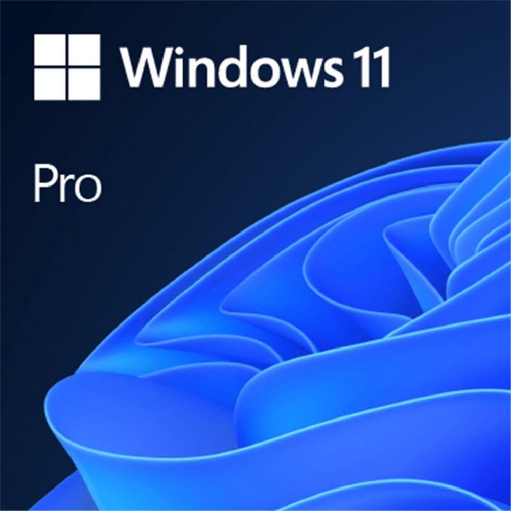 windows 11 professional 64 bits oem sin dvd