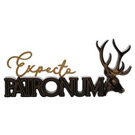 letrero madera patronum harry potter