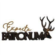 letrero madera patronum harry potter