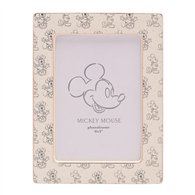 marco fotos mickey & minnie disney