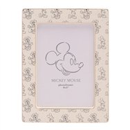 marco fotos mickey & minnie disney