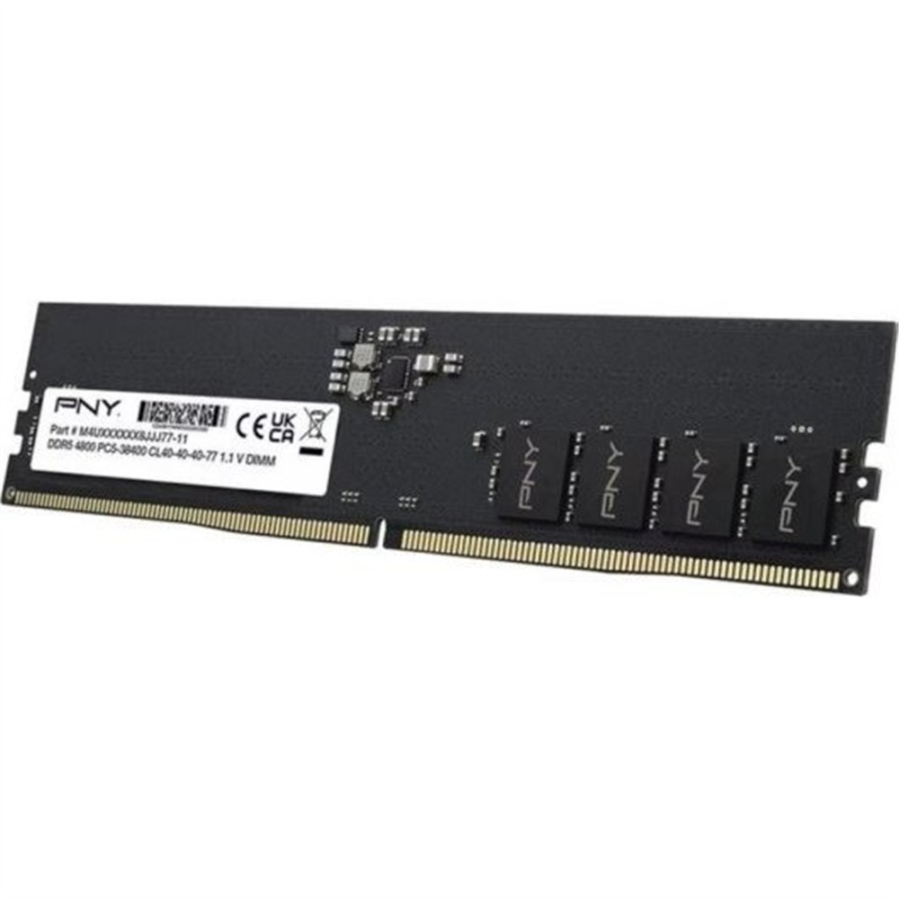 memoria ram 16gb pny ddr5 4800mhz cl40 bulk
