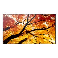 sharp multisync m432 pantalla plana para señalización digital 108 cm (42.5") lcd 550 cd / m² 4k ultra hd negro