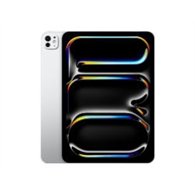 apple ipad pro 2025 11" m5 256gb wifi plata (mdwl4ty/a)