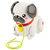 pasea al perrito carlino